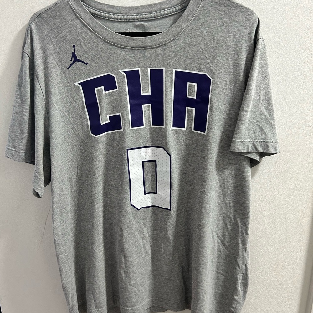 Nike Jordan CHA‎ Bridges Gray and Purple Men's T-Shirt